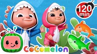 Baby Shark Dance!  | CoComelon Nursery Rhymes and Kids Songs | Animals for Kids