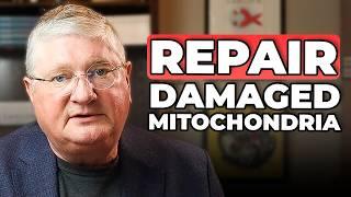 MITOCHONDRIA DAMAGE: Symptoms, Root Causes, and Treatment | Dr. Anderson