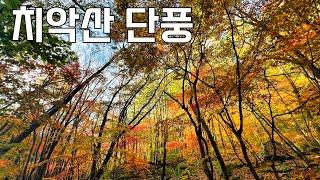 명불허전 치악산 단풍이 왜 유명한지 알려드립니다. 치악산 단풍 현황