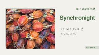 夜間美肌法寶🪄『Synchronight』陪你一起對抗光老化