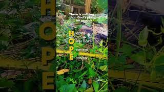 HOPE ,️️