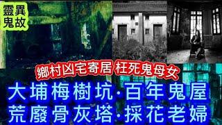 鄉村情殺凶宅寄居•枉死鬼母女 | 大埔梅樹村•百年鬼屋 | 荒廢骨灰塔 | 女童軍•靈探宿舍撞邪 | 靈媒•破案奇聞 #怪談 #靈異 #鬼故事 #ghost #creepy