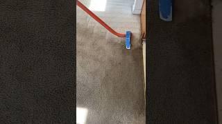 Carpet Cleaning ATL Got My Home Spotless    #CarpetCleaningATL #ExperienceTheDifference #ATL