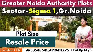 Greater Noida Authority Plots Sigma-I, Resale Price | Plot Size | Residential Plots In Greater Noida