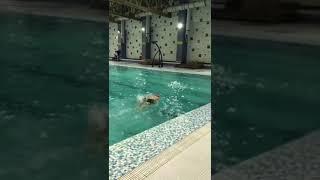 لشکری در حوض |Pool | حوض آب بازی | Swimming | Kabul | Afghanistan