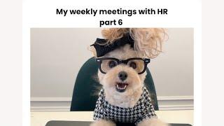 My weekly meetings with HR part 6