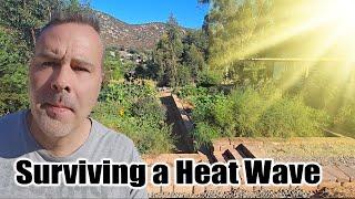 Keeping the Garden Alive in a Heat Wave / Garden Tour