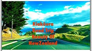 Kaikōura Coastal | Road Trip | The Beauty Of NewZealand