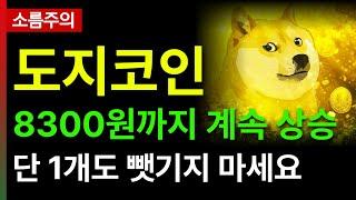 [도지코인 전망]8300원까지 계속 상승 단 1개도 뺏기지 마세요