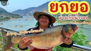 ยกยอ อ่างน้ำวอง ►Fishing lifestyle Ep.740