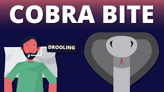 A case of Cobra Bite Emergency (Snake Venom Animation)