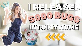 What Happened When I Released 5000 BUGS Into My Home | Beneficial Insects | Houseplant Chores + Tips