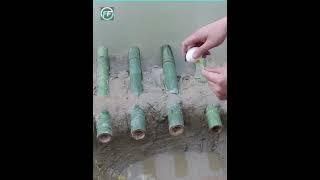  கடைசி வரை பாருங்க | Fishing Techniques | Fact Flow Studio in Tamil #short #facts