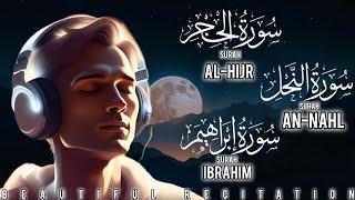 Surah Ibrahim|Surah Al-Hijr|Surah An-Nahl|Beautiful Recitation|@Islam4You-nr2lk|#allah #muhammadﷺ