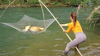 Village Girl Fishing - Traditional Net Fishing In The Stream, Using Good Bait - Catch a Lots Of Fish