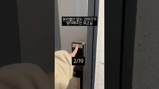 할머니는 항상 이런기분이었을까..?️#웰시코기 #분리불안