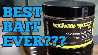 THE ULTIMATE WAFTER? CC MOORE NS1 NORTHERN SPECIALS! TOMMYS BAIT REVIEWS | CARP FISHING 2024