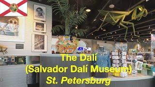 A Great Museum Experience | Salvador Dalí | St. Petersburg | FL