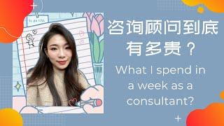 【鱼豆腐o0O】美国咨询顾问到底有多贵？｜四大出差一周花销｜What I spend in a week as a consultant ｜Consultant Travel Expense