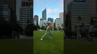 WANG JING 王京 TAI CHI FREE MOVES (2017) PERTH