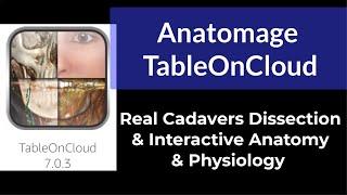 Anatomage TableOnCloud: Real Cadavers Dissection & Interactive Anatomy & Physiology