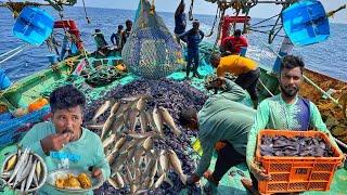 First Time in India | Mid Water Pelagic Trawl Door | Delicious Breakfast Barracuda Fish Gravy