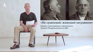 P. S. Зачем вообще стихи? Из курса «Русская литература XX века. Сезон 6»