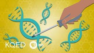 Gene Editing & CRISPR: How Far Should We Go?