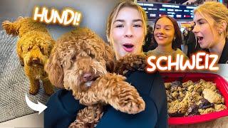 I'm getting a DOG  | Zurich VLOG & Simon's HYROX 