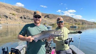 Fall Chinook Hover Fishing Set up