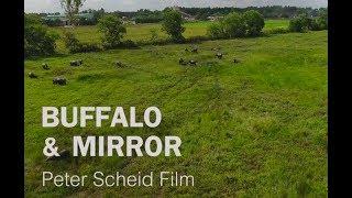 SHOWREEL VIETNAM - Water Buffaloes - Aerial Drone Pilot/Cameraman Ho Chi Minh City