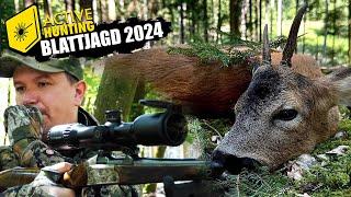 Blattjagd 2024 I Sie springen wieder I Zwei Böcke liegen !