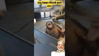 जादू देखकर चिंपांजी हंसने लगा।Seeing the magic chimpanzee started laughing.@jjanimalworld #short