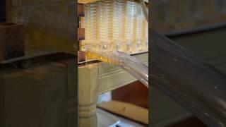 Finally harvesting honey from the Flow Hive! Pt.3 #beekeeping #bees #flowhive #honey #honeyharvest