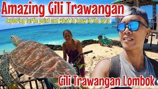 Turtle point at Gili Trawangan Lombok, Exploring and what to know in the area