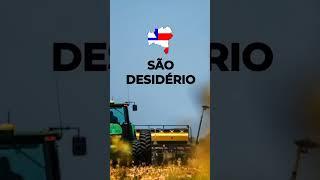 Conheça os 5 municípios mais ricos do agronegócio brasileiro!