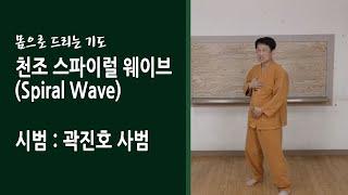 천조 스파이럴 웨이브 (Spiral Wave)