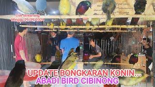 Update Bongkaran konin full stok@ABADIBIRDCIBINONG_29/09/2024