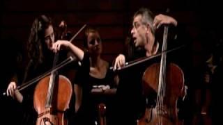 WE WERE TREES - The Palermo Concert (Trailer) - Sollima, Leskovar & Solistenensemble Kaleidoskop