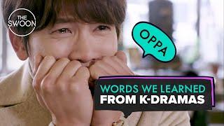 Words we learned from K-dramas [ENG SUB]