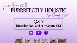 Holistic Cat Care Q&A January 2025