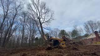 Using Track loader Wrecking Ball to Push Over a Huge Tree