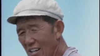유공이 산을 옮기는 방법 - 01 어촌 마을