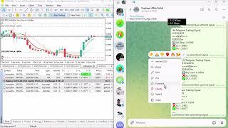 Telegram MQL5 Copy Trading. [PART 563] #forexalgotrader