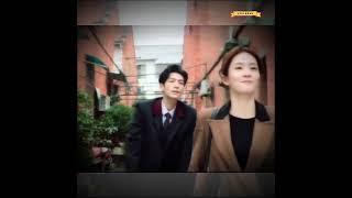 罗云熙️白鹿又甜又怼！| Luo Yunxi × Bai Lu – Sweet, Savage & So in Love! #罗云熙leo #bailu白鹿 #半是蜜糖半是伤