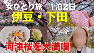 [Woman's solo trip] Enjoy Kawazu cherry blossoms in Izu for 2 days and 1 night