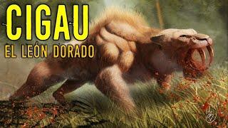 CIGAU: León Dorado de Sumatra | Criptozoologia (REEDITADO)