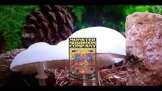 Monster Mushroom Company™ Deluxe Kit Unboxing