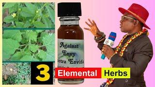 Three Elemental Herbs  - Powerful Protection and Cleansing Oil - Nana Ayebiafo Jnana