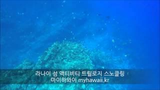 [하와이 여행] 라나이 섬 즐기기 – 트릴로지 해양 액티비티